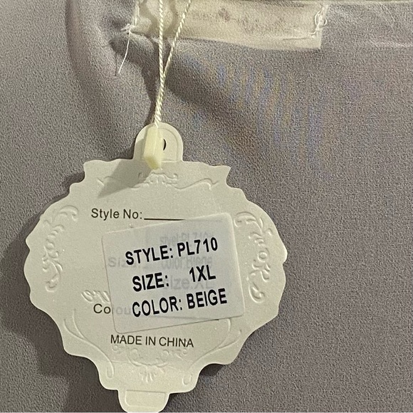 Simply Couture women beige sheer sleeveless two frill hemline top. Size 1XL. NWT - Picture 6 of 8